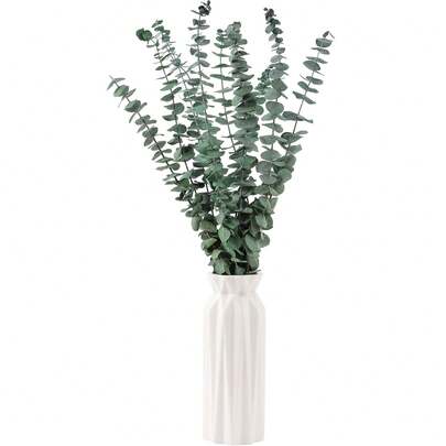 10pcs 17-Inch Fresh Eucalyptus Branches, Suitable For Shower, Vase Filler, Greenery, Dried Flower Decor, Home Floral Decoration