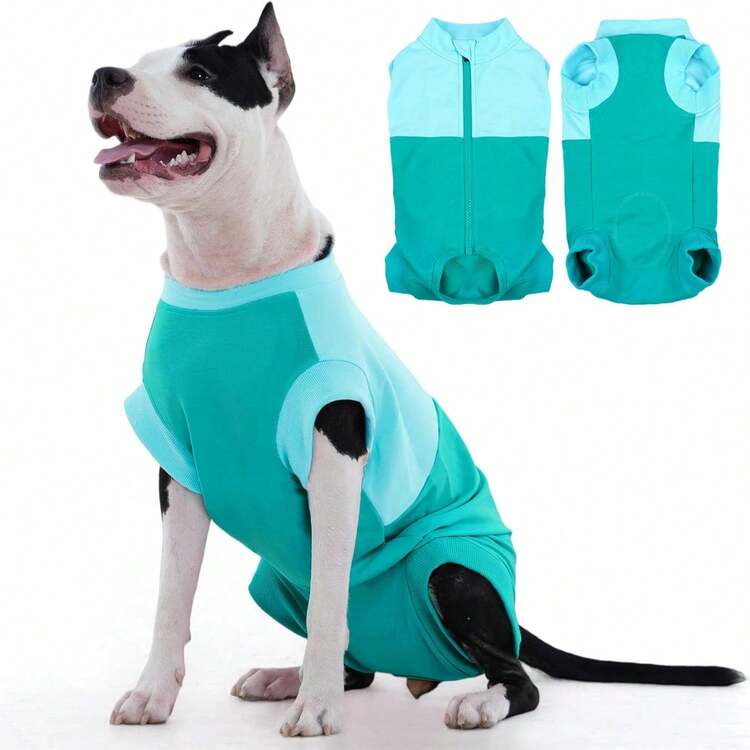 一件式狗狗手术服，背部带拉链，舒适便于术后恢复，公母犬通用 - 藍色 - 查看 1