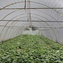 3-4mm Double Aluminum Thermal Insulation Panel – Heat & Cold Protection For Home