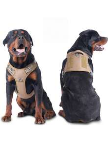 可调节防拉扯反光宠物胸背带，适用于大型犬，可用于训练和遛狗控制 - 彩色 - 查看 4