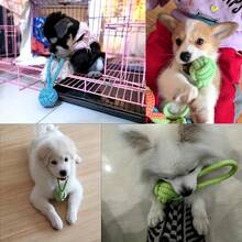 Pet Dog And Cat Bite Toys - Colorful Woven Rope Balls - Interactive Resistance Race, With Multi-Layered Surfaces, Suitable For Small/Medium/Large Dogs - Bright Colors - Dog Knot Toys/Resistance Training/Mixed Toys - Random Color - View 8