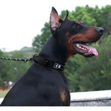 Collar Táctico para Perros -  y Comodidad en Tus Paseos,Collar de Perro Resistente y Ligero (Negro, XL),37648029 - Azul Marino - Ver 2