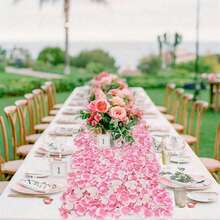 Garden Privacy & Protective Screens - 50-100厘米 - 查看 4