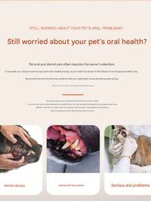 宠物牙刷牙膏套装（1件装） - 猫用牙刷，可使用10000次，狗狗口腔护理 - 宠物牙膏。维护宠物口腔健康，预防口臭，增进宠物与主人之间的感情。适用于猫狗日常牙齿清洁。宠物也喜欢它的味道。缓解宠物压力和不配合。 - 彩色 - 查看 8