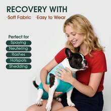 Bộ đồ phẫu thuật cho chó, có khóa kéo phía sau, thoải mái cho quá trình hồi phục, phù hợp cho cả chó đực và chó cái. - Màu xanh lam - Xem 5