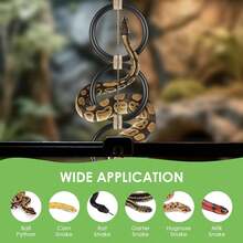Reptile Climbing Ring, Ball Python Climbing Chain Toy, Glass Container Cage Decor Accessories Suitable For Corn Snake, Hognose Snake, Bearded Dragon, Lizard, Chameleon, Parrot - Multicolor - View 6