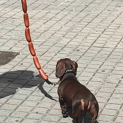 Funny Sausage-Shaped Dog Leash Suitable For Small To Medium Dogs, Cartoon Design Rubber Handheld Traction Strap - Unique And Interesting Shape, Must-Have For Pet Owners. Ideal For Walks And Outdoor Adventures, Great Gift For Dog Lovers