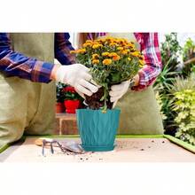 Inch Plant Pots 5 Pack, Flower Planters With Drainage Holes And Trays, Plastic Pots Indoor Outdoor Plants, White - Xanh lam-xanh lá cây + 5 chiếc 7 inch - Xem 5