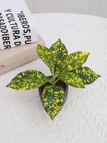 1 件人造盆栽，情人节、生日毕业礼物，家居装饰，返校房间装饰，学校用品