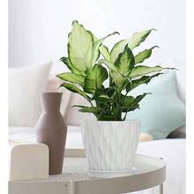 Inch Plant Pots 5 Pack, Flower Planters With Drainage Holes And Trays, Plastic Pots Indoor Outdoor Plants, White - 白色 + 7吋 5件套 - 查看 4