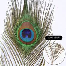 5/10/25/50 Stücke Bulk Künstliche Pfauenfedern, dekorativ für Vasen, Basteln, Hochzeit, Zuhause, Party, Weihnachtsdekoration - Übersicht 5