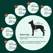 1 Stück Hundemantel, dicker Weste mit Leine für mittelgroße/große Hunde, gepolsterte warme Jacke mit Leinendurchlass, geeignet für Dackel, Labrador, Beagle, Dogge bei Kälte und Schnee - Violett - Übersicht 3