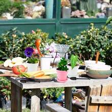 10/20个装植物育苗盆，带保湿罩，塑料园艺盆，种植容器，带底座和铲子，小型种子萌发盘，适用于蔬菜、花卉、花园植物 - 彩色 - 查看 8