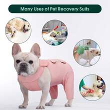 1pc Dog Leg Wound Cover, Dog Hind Leg Recovery Sleeve, Pet Surgery Suit Suitable For Large, Medium And Small Dogs