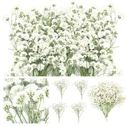 60pcs Real Natural Dried Baby's Breath Flowers (White Gypsophila) - Mini Pressed Flowers With Tweezers For DIY Resin Crafts, Wedding Decor, For Home Party Card Making - Preserved Dried Bouquets For Long-Lasting Use