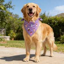 可爱卡通印花宠物围巾，可调节，夏季宠物围巾，适用于猫狗，围兜式三角巾，节日配饰 - 彩色 - 查看 5