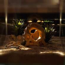 Driftwood Ball, Tree Root, Lizard Hideout Decor For Reptile Terrarium, Moss Ball, Hiding Cave