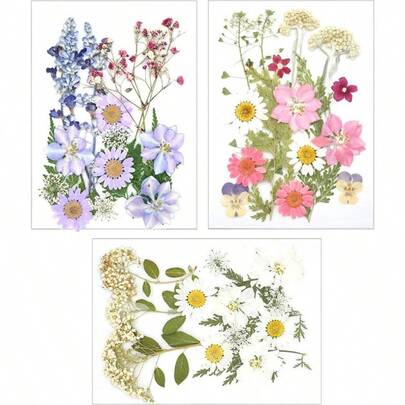 49pcs Natural Dried Pressed Flower Set - -Sealed Preserved Botanical Kit With 49 Individual Flowers (Daisies, Roses, Baby's Breath) For DIY Crafts, Resin Art, Scrapbooking, Wedding Decorations, Candles & Makeup -  Natural