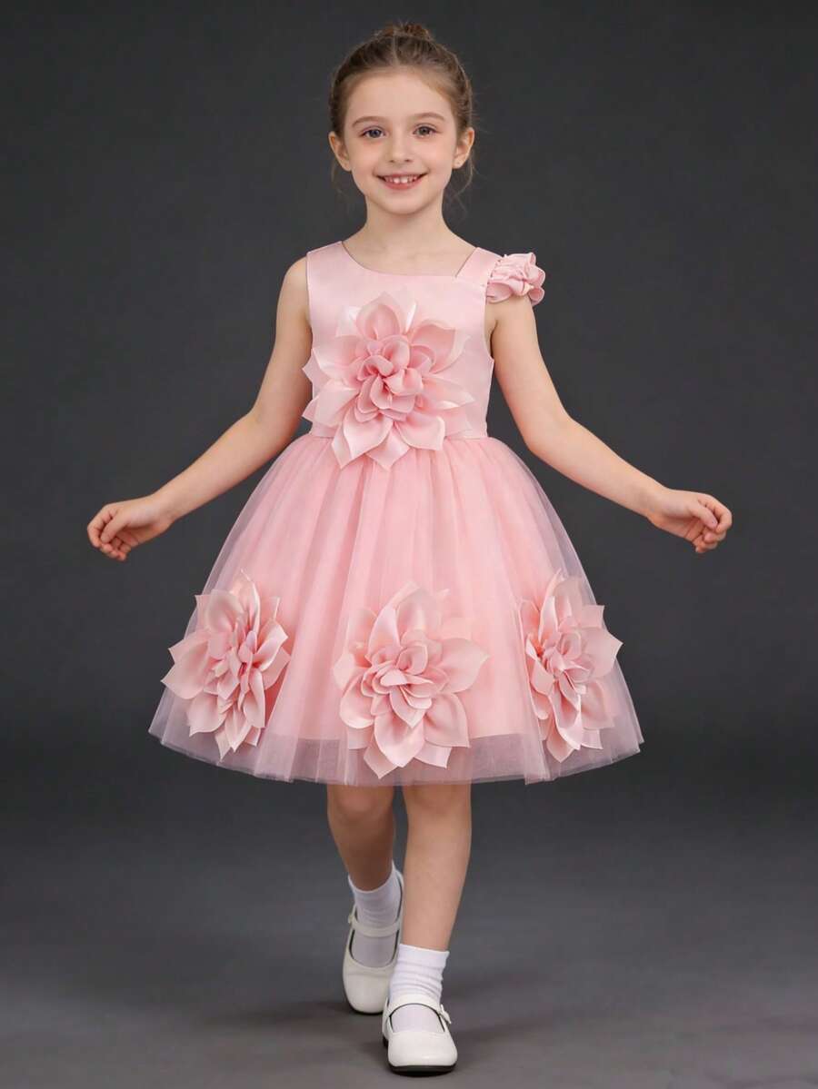 Young Girl Embroidered Princess Dress, Birthday Party & Holiday Occasion Dress - Pink - View 1