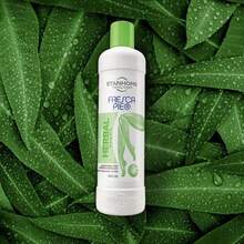 Fresca Pie loción para pies y piernas cansadas – alivio refrescante de Stanhome, HERBAL EUCALIPTO Frescura, ÁRNICA Bienestar, CASTAÑA Tonificación, MENTOL Descanso, ICE Efecto Frio, ROMERO Revitalizante, CONCHA NACAR Aclara. Un experto en casa que relaja pies y piernas. Presentación 300 ml. - HERBAL - Ver 3