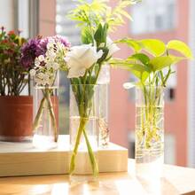 3/6Pack Wall Hanging Glass Planters Plant Terrarium Holders Wall Hanging Transparent Planter Garden Living Room Wall Decor - Clear - View 3