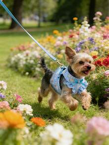 1件套宠物项圈和牵引绳，胸背式牵引绳专为小型猫狗设计，提供有效且舒适的活动支撑。 - 彩色 - 查看 9