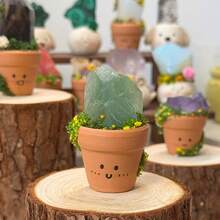 1件水晶石盆栽，种植水晶石盆栽植物，矿石，冥想水晶石盆栽 - 彩色 - 查看 11