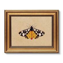 VIYYIEA Vintage Gold Framed Wall Art For Living Room, Arctia Caja Canvas Prints Home Decor, Oil Painting Picture, Bedroom Wall Decor Gifts For Friends Or Family -[Arctia Caja]-(10L X 8W) - [北極卡加] - 查看 2