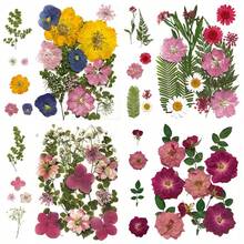 15 Pieces Dried Pressed Leaves Dried Flowers For Resin Real Assorted Dried Greenery For Pressed Leaf Art Craft DIY Handmade Bookmarks Embellishment Decorations