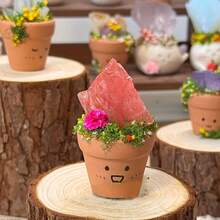 1件水晶石盆栽，种植水晶石盆栽植物，矿石，冥想水晶石盆栽 - 彩色 - 查看 14