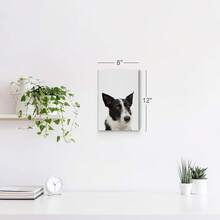 Diseño de arte de sonrisa, retrato de un lindo periquito monje, loro, impresión de arte en lienzo para pared, amante de las mascotas, oficina, sala de estar, dormitorio, veterinario, decoración de habitación infantil, listo para colgar - cuadros decorativos para sala, póster, con marco, pósteres, cuadros para la pared, marcos para cuadros, cuadro, Virgen de Guadalupe, salas - transparente - Ver 8