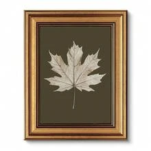 VIYYIEA Vintage Gold Framed Wall Art For Living Room, Maple Leaf Canvas Prints Home Decor, Oil Painting Picture, Bedroom Wall Decor Gifts For Friends Or Family -[Maple Leaf Specimen]-(10L X 8W) - [楓葉標本] - 查看 2