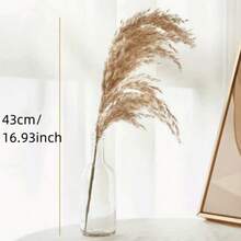 10/20 Pcs Fluffy Brown Pampas Grass Decor, Artificial Rattan Boho Style Indoor Floral, Suitable For Home, Party, Outdoor Decor, Wedding And Engagement, All Seasons, Summer, Tabletop Display, No Container Included - Brown - View 3