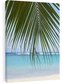 Arte de pared en lienzo de CafePress, hojas de palma de playa de Honolulu, listo para colgar en la sala de estar, dormitorio o oficina. - transparente - Ver 1