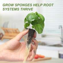Kiicii Kratky Method Hydroponic Planter Kit, 8 Hydroponic Planter Plus 24 Growing Sponges For Herbs, Hydroponic Mini Buckets For Windowsill Herb Garden, Hydroponic Growing System For Vegetables - ColorB - 查看 3