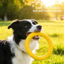 This Is A Circular Interactive Toy That Can Be Used As A Dog Toy As Well As A Chew Toy For Them. - Yellow - View 1