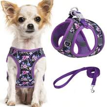Cat & Dog Harness No Pull Leash, Printed Polyester, Mesh Padded And Night Reflective Strips, Suitable For Small To Medium Dogs And Cats.