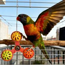 Bird Toys & Training - Blue - View 2