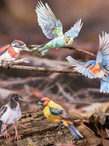 20pcs Vintage Bird & Branch DIY Sticker Pack, Forest Bird Series, Suitable For Gifts, Office, Home, Marking, Labels, Classrooms, Toys, Student Journals, Creative Retro Landscape Decorative Stickers