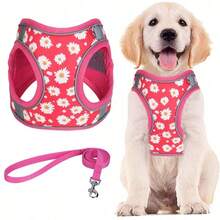 Cat & Dog Harness No Pull Leash, Printed Polyester, Mesh Padded And Night Reflective Strips, Suitable For Small To Medium Dogs And Cats.