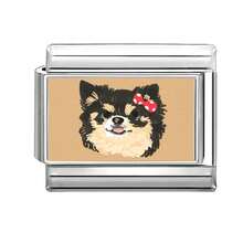1件装DIY照片模块化手链，动物元素，适合作为派对礼物送给朋友/情侣，适用于圣诞节、新年、万圣节、情人节，设计精美，不锈钢材质，本地制造，实用时尚，圣诞节必备，圣诞风格，圣诞装饰，派对穿搭指南，圣诞礼物用品，营造圣诞家居氛围，优雅装扮，万圣节配饰，适合所有季节，学校、晚会、毕业典礼等场合。 - M293613 - 查看 8