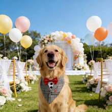 Dog Tuxedo Costumes, Dog Wedding Outfit Bandana With Bow Tie, Dogs Tux Suit Collars For Small Medium Large Pet Dogs - Multicolor - View 6