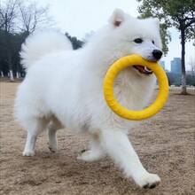 This Is A Circular Interactive Toy That Can Be Used As A Dog Toy As Well As A Chew Toy For Them. - Yellow - View 2