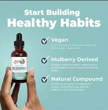 Mary Ruth's Vegan Chlorophyll Liquid Drops -Non-Diluted Liquid Chlorophyll -Mulberry Derived Supplement-Non-GMO -Delicious Minty Flavor-2FlOz - 60毫升 - 查看 4