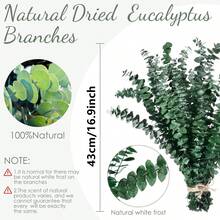 66 Stücke Rattan Trockenblumen, beinhaltet Eukalyptusblätter, Lavendel und andere natürliche Elemente, geeignet für Heimdekoration, Partydekorationen, Tischdekorationen, auch geeignet für Frühling, Valentinstag, Muttertag, Hochzeit und andere Anlässe - HS04 - Übersicht 5