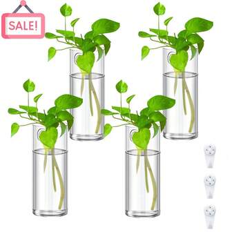 3/6个装壁挂式玻璃花盆植物微景观容器壁挂式透明花盆花园客厅墙面装饰