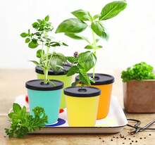 Kiicii Kratky Method Hydroponic Planter Kit, 8 Hydroponic Planter Plus 24 Growing Sponges For Herbs, Hydroponic Mini Buckets For Windowsill Herb Garden, Hydroponic Growing System For Vegetables - ColorB - 查看 2