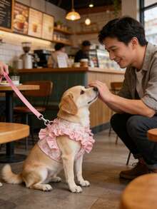 1件套宠物项圈和牵引绳，胸背式牵引绳专为小型猫狗设计，提供有效且舒适的活动支撑。 - 彩色 - 查看 7