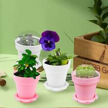 10/20个装植物育苗盆，带保湿罩，塑料园艺盆，种植容器，带底座和铲子，小型种子萌发盘，适用于蔬菜、花卉、花园植物 - 彩色 - 查看 9