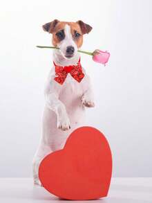 1/2/10 Stücke Valentinstag Liebe Haustier Krawattenhalsbänder, süße Liebe/Lippenabdruck/Fliege/Ein Pfeil Doppelherz/Ziegelstein Liebe/Kuchenelement, schaffen Sie eine festliche Atmosphäre für geliebte Haustiere, Dekoration, Welpen Verkleidung, Date/Party/Alltag Verkleidung sofort süß im Fokus, Katzen und Hunde vielseitige Verkleidung - Verschiedenfarbig - Übersicht 4